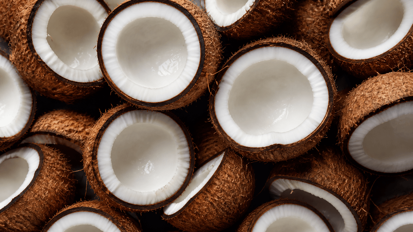 Freshly cracked mature coconuts showing white flesh and fibrous husks